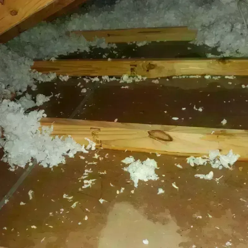 Attic Water Damage in Oak Hill, TN